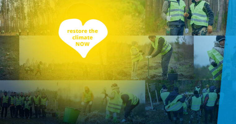 Restore the climate: planting trees with TREEPILYA - a female lead initiative aims to plant one millon trees - support!